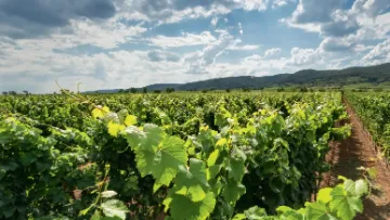 homologation des produits phytosanitaires